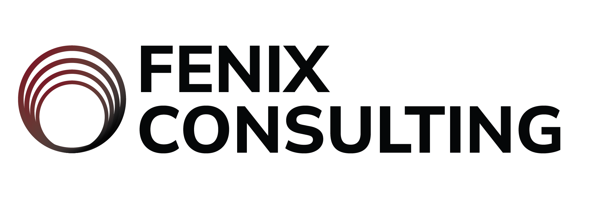 Fenix Consulting